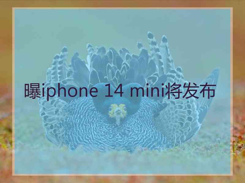 曝iphone 14 mini将发布