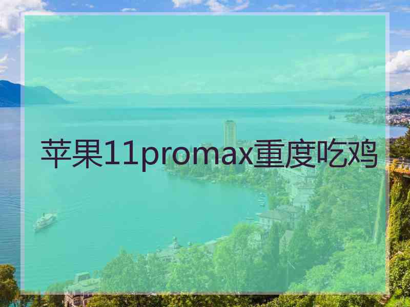 苹果11promax重度吃鸡