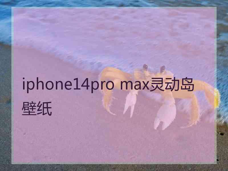 iphone14pro max灵动岛壁纸