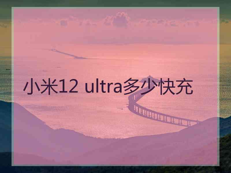 小米12 ultra多少快充