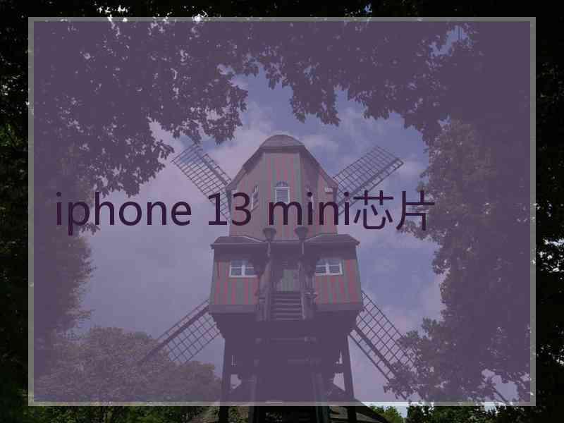 iphone 13 mini芯片