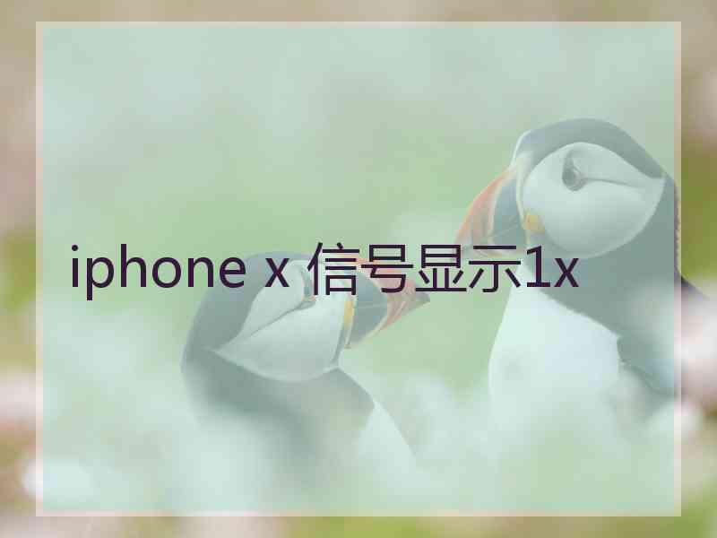 iphone x 信号显示1x