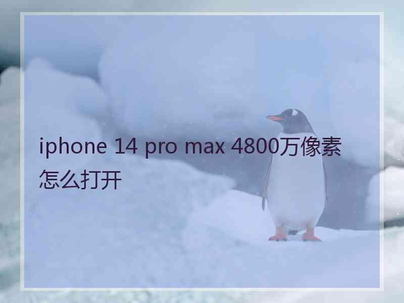 iphone 14 pro max 4800万像素怎么打开