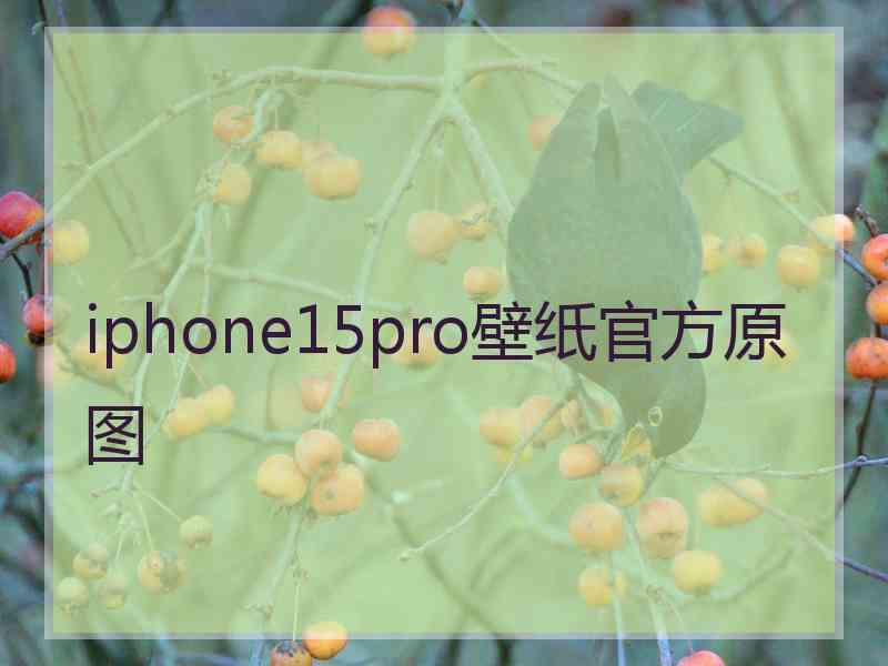 iphone15pro壁纸官方原图