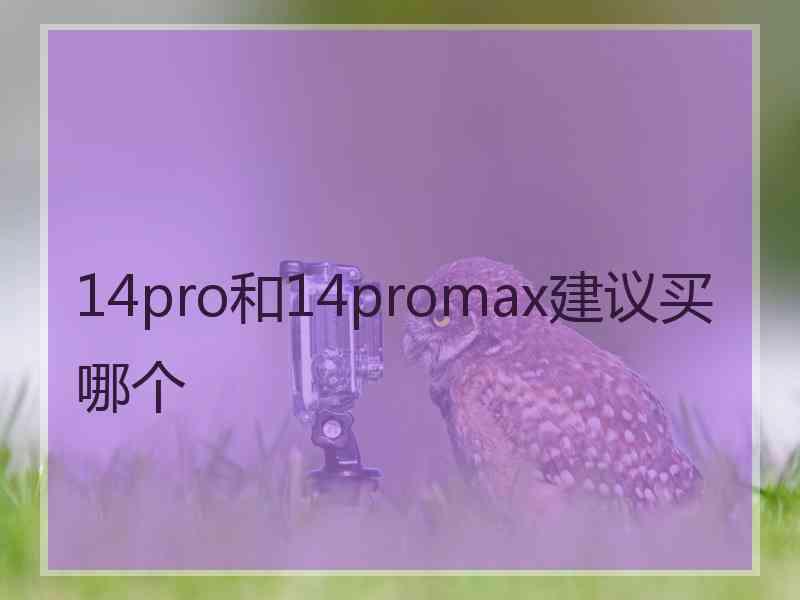 14pro和14promax建议买哪个