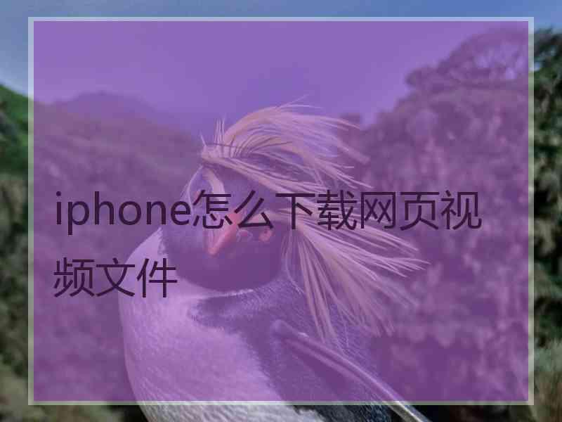 iphone怎么下载网页视频文件