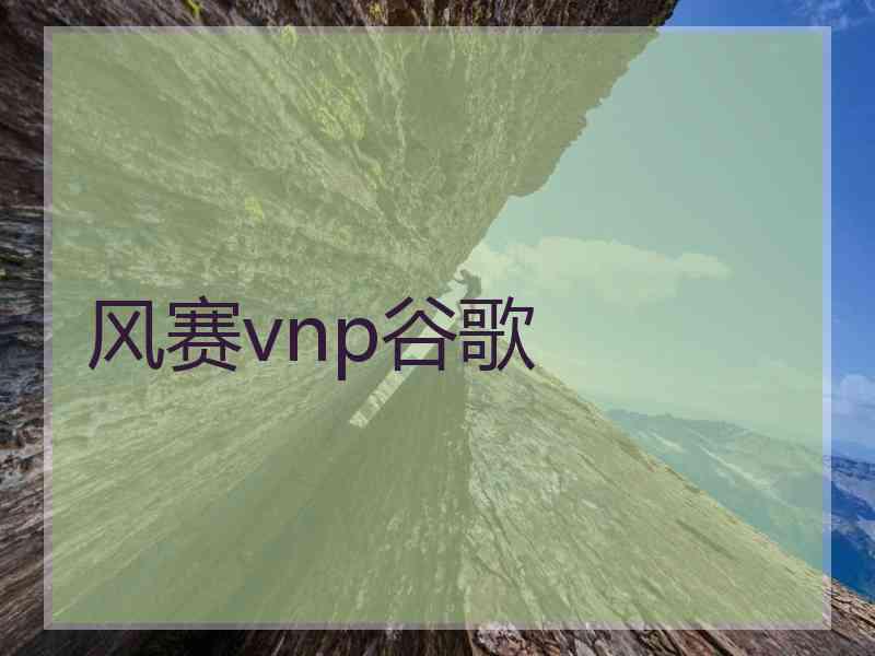 风赛vnp谷歌