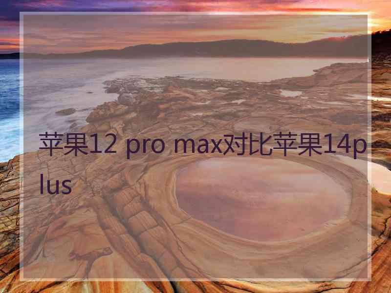 苹果12 pro max对比苹果14plus