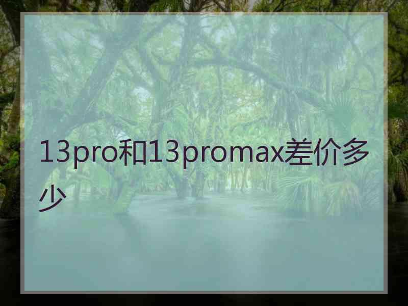 13pro和13promax差价多少