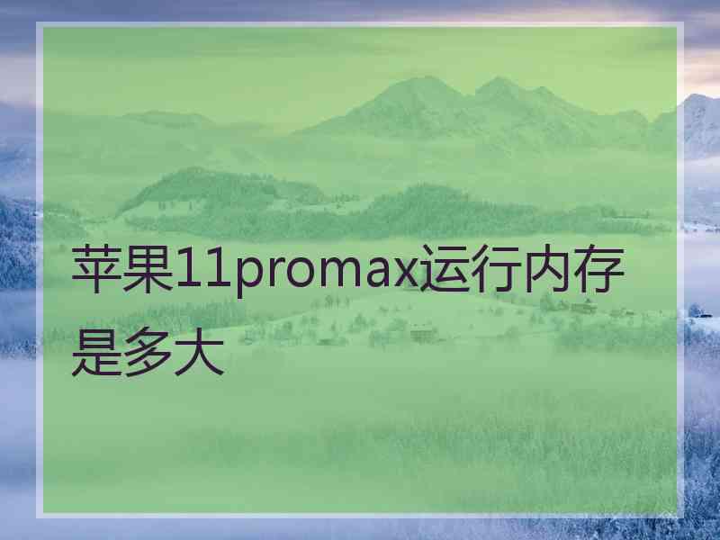 苹果11promax运行内存是多大