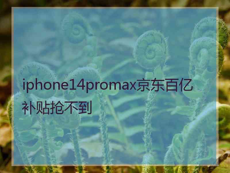 iphone14promax京东百亿补贴抢不到