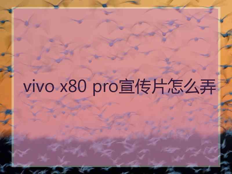 vivo x80 pro宣传片怎么弄