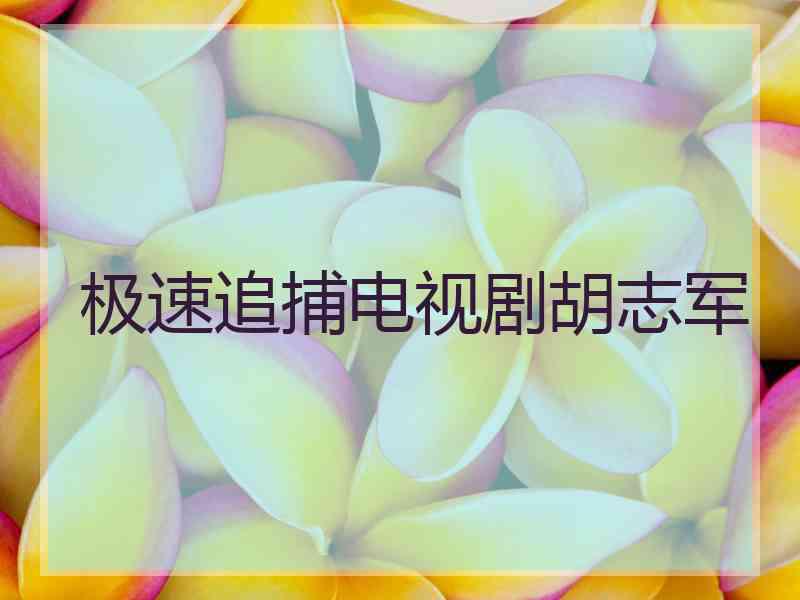 极速追捕电视剧胡志军