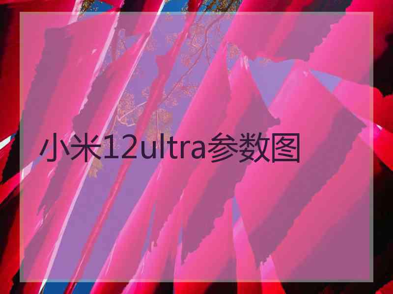 小米12ultra参数图