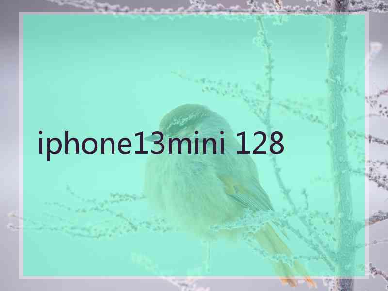 iphone13mini 128