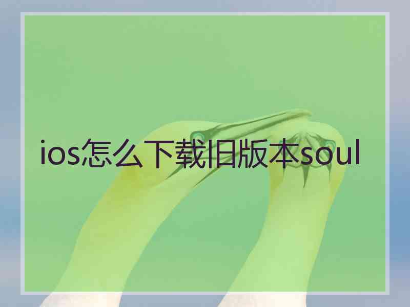 ios怎么下载旧版本soul