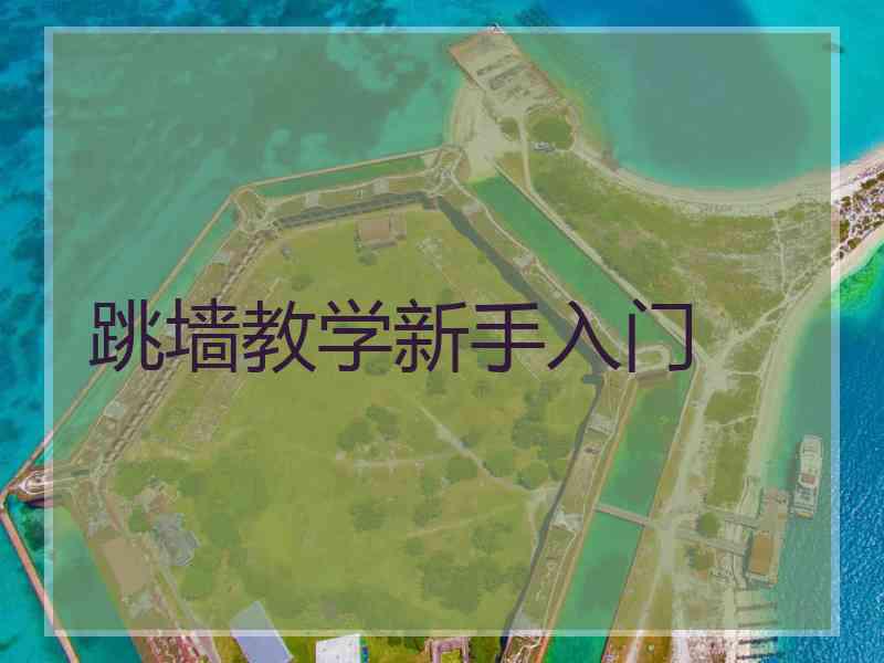 跳墙教学新手入门