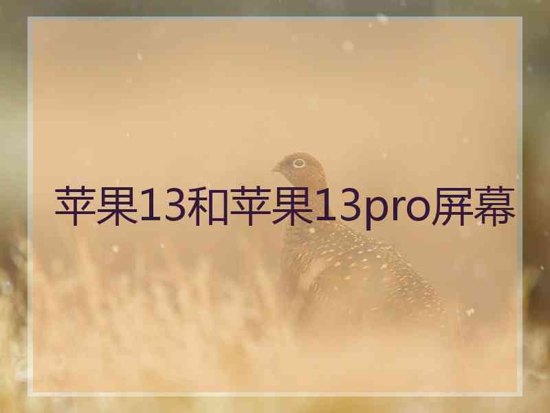 苹果13和苹果13pro屏幕