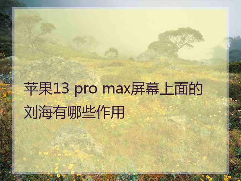 苹果13 pro max屏幕上面的刘海有哪些作用