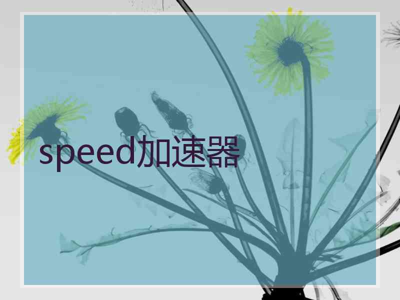 speed加速器