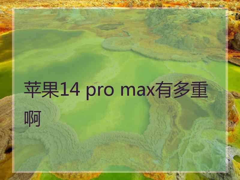 苹果14 pro max有多重啊