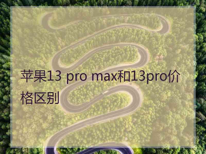 苹果13 pro max和13pro价格区别