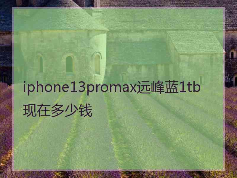 iphone13promax远峰蓝1tb现在多少钱