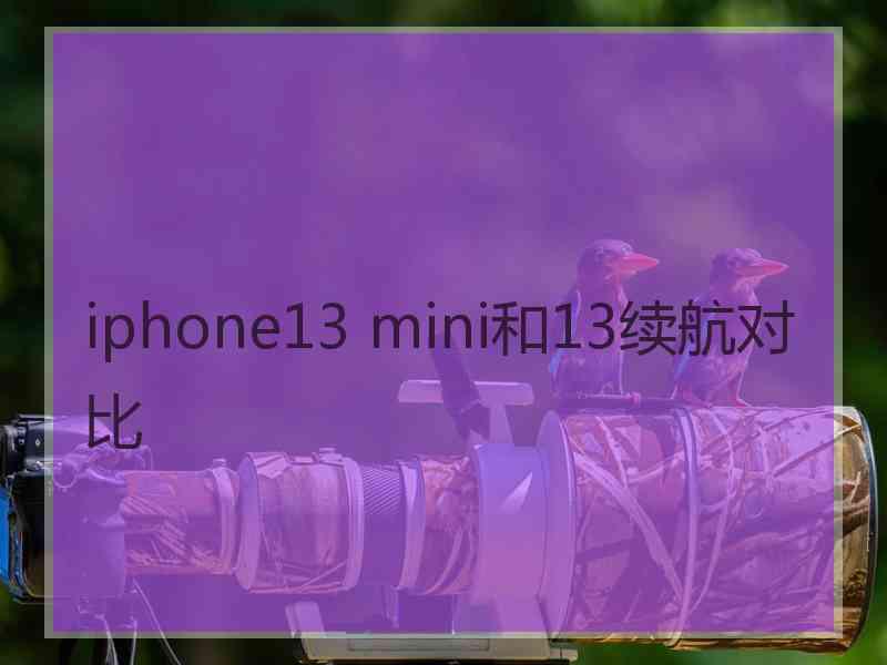 iphone13 mini和13续航对比