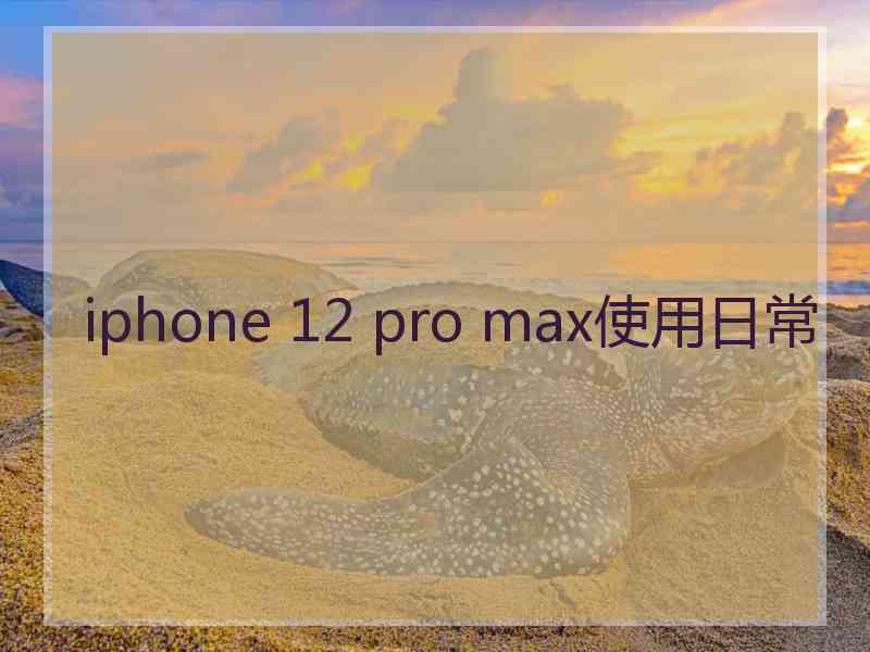 iphone 12 pro max使用日常