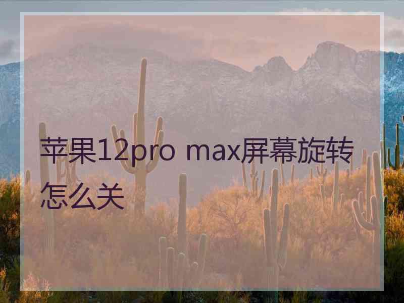 苹果12pro max屏幕旋转怎么关