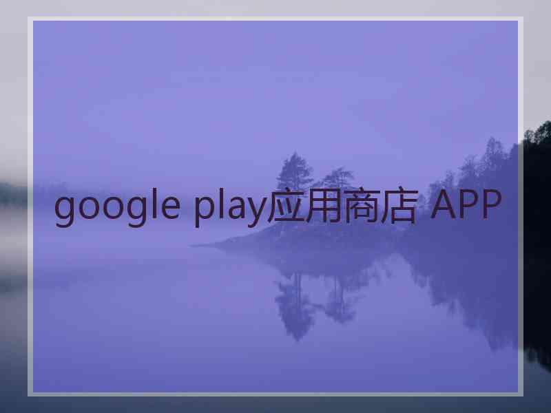 google play应用商店 APP