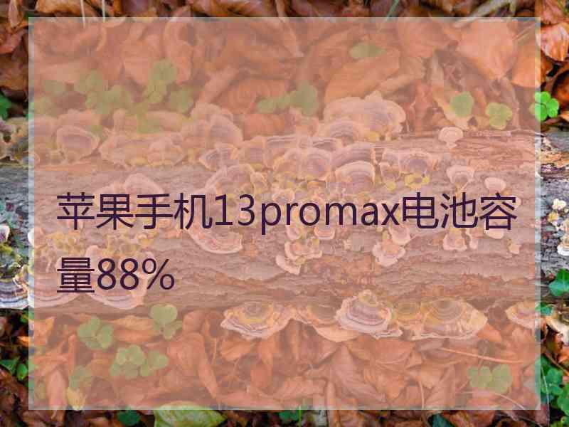 苹果手机13promax电池容量88%