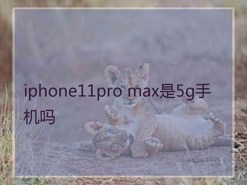 iphone11pro max是5g手机吗