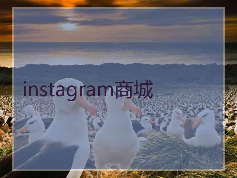 instagram商城