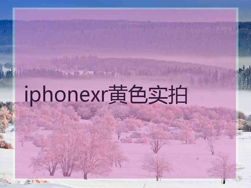 iphonexr黄色实拍