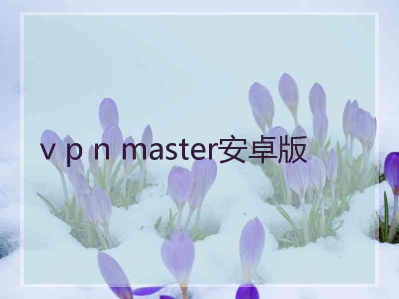 v p n master安卓版