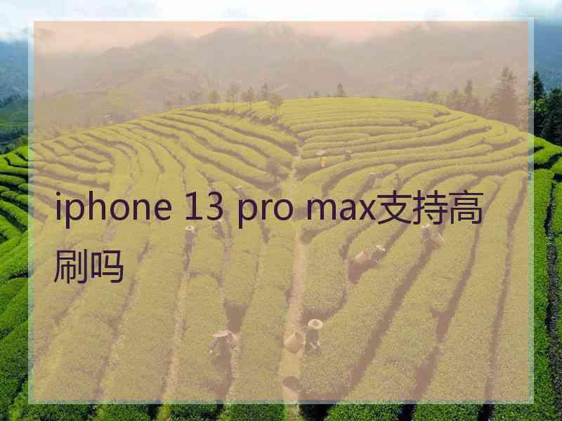 iphone 13 pro max支持高刷吗