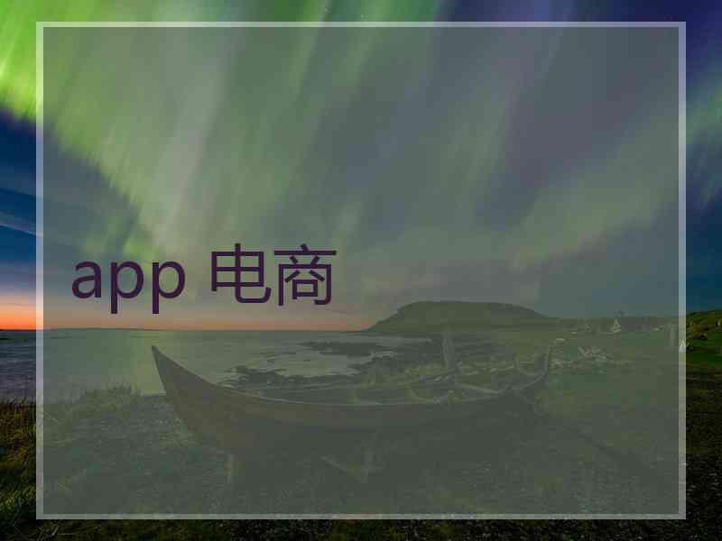 app 电商