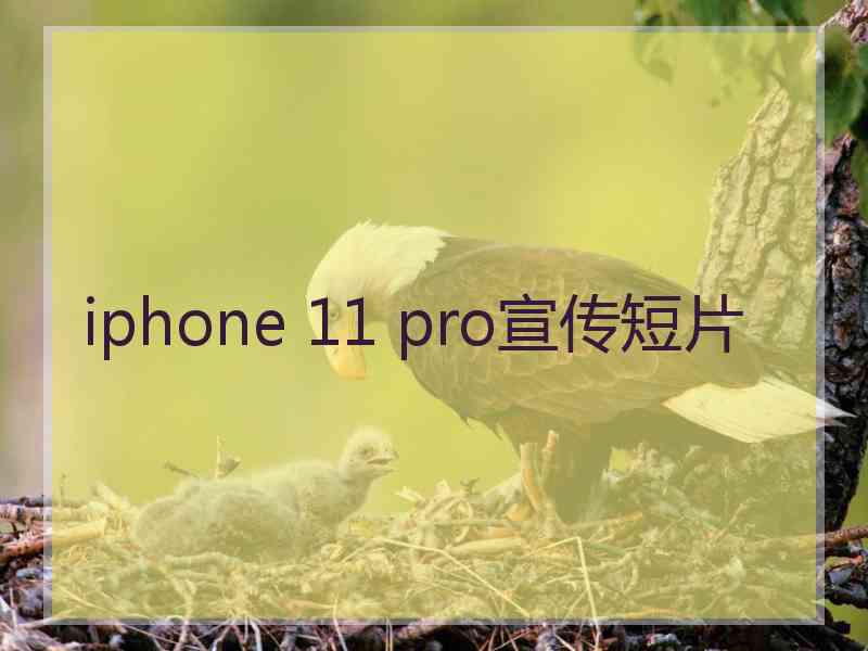 iphone 11 pro宣传短片