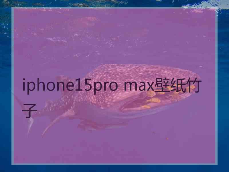 iphone15pro max壁纸竹子