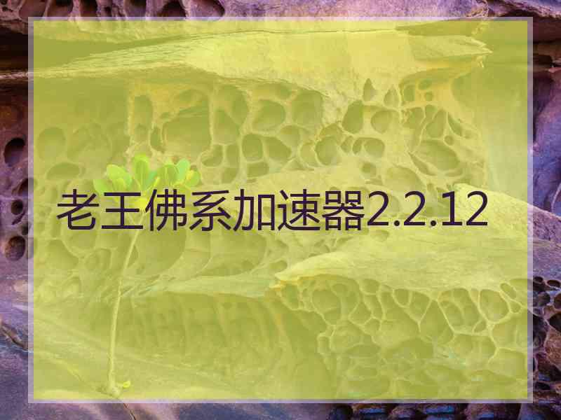 老王佛系加速器2.2.12