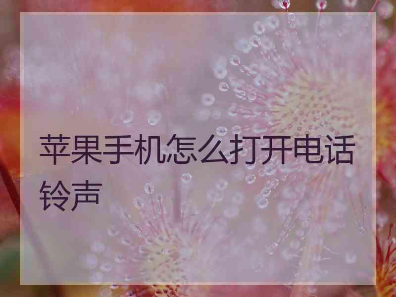 苹果手机怎么打开电话铃声