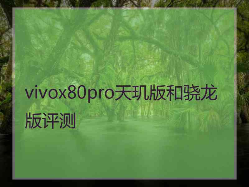 vivox80pro天玑版和骁龙版评测