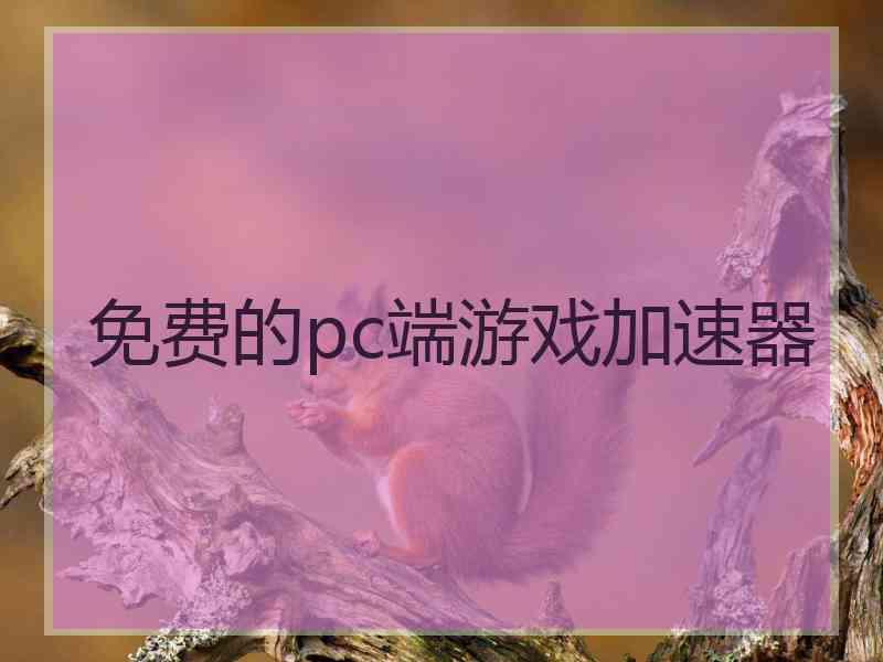 免费的pc端游戏加速器