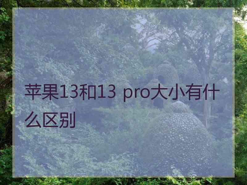 苹果13和13 pro大小有什么区别