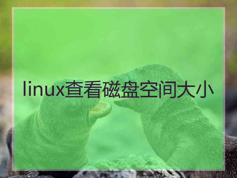 linux查看磁盘空间大小