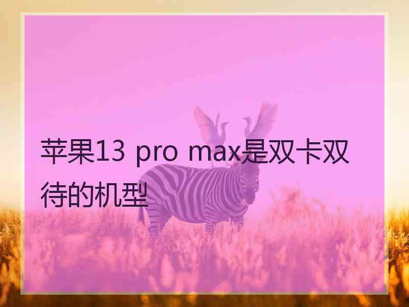 苹果13 pro max是双卡双待的机型