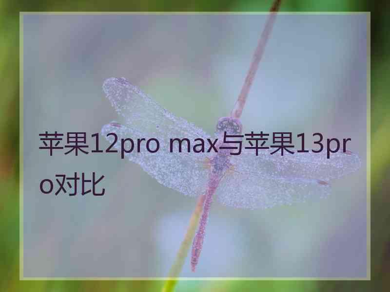 苹果12pro max与苹果13pro对比