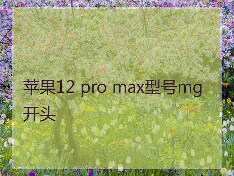 苹果12 pro max型号mg开头