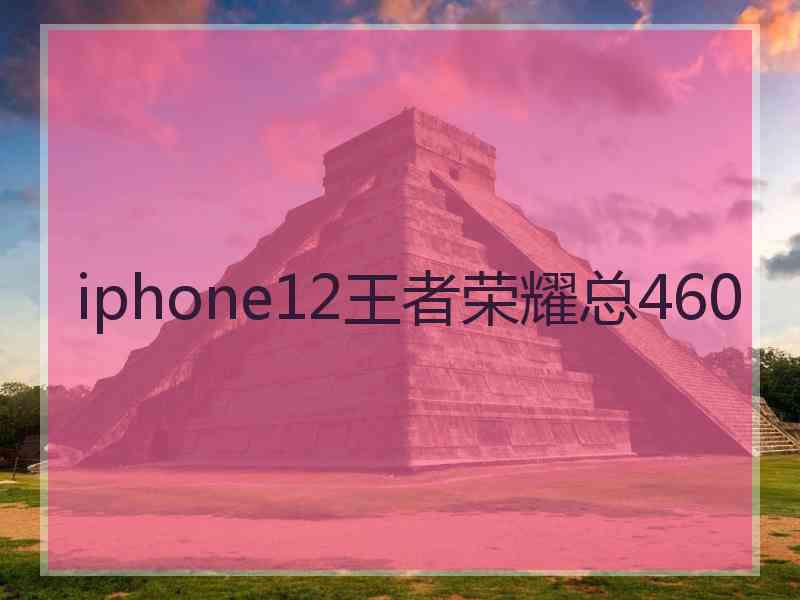 iphone12王者荣耀总460